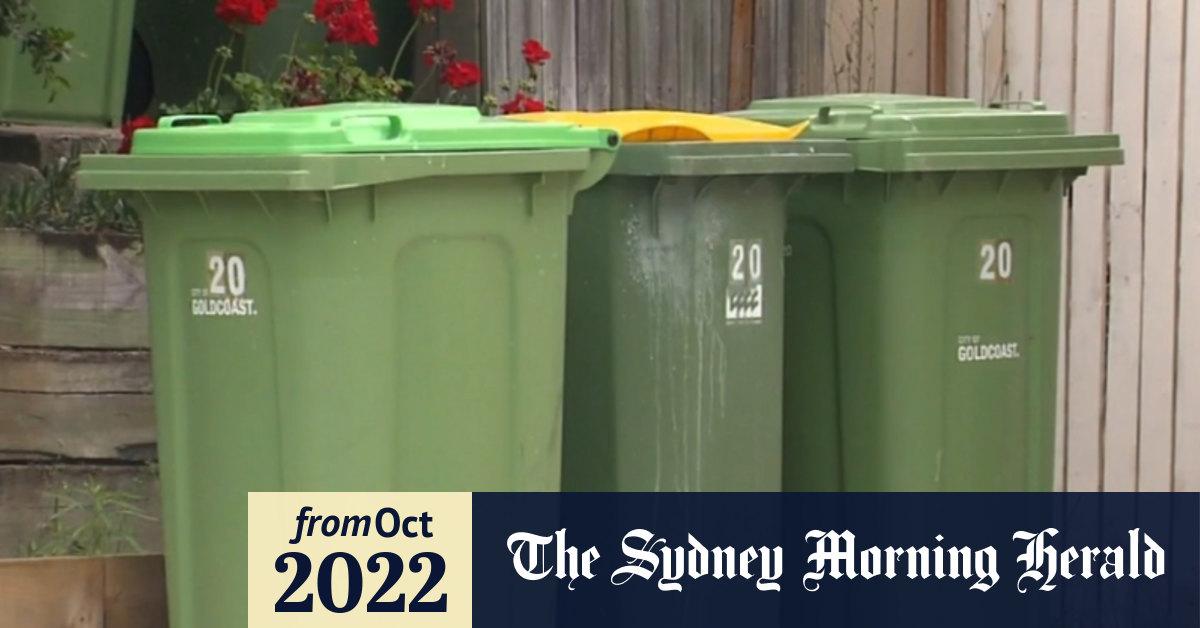 Video Queensland council inspectors photographing, rummaging through bins